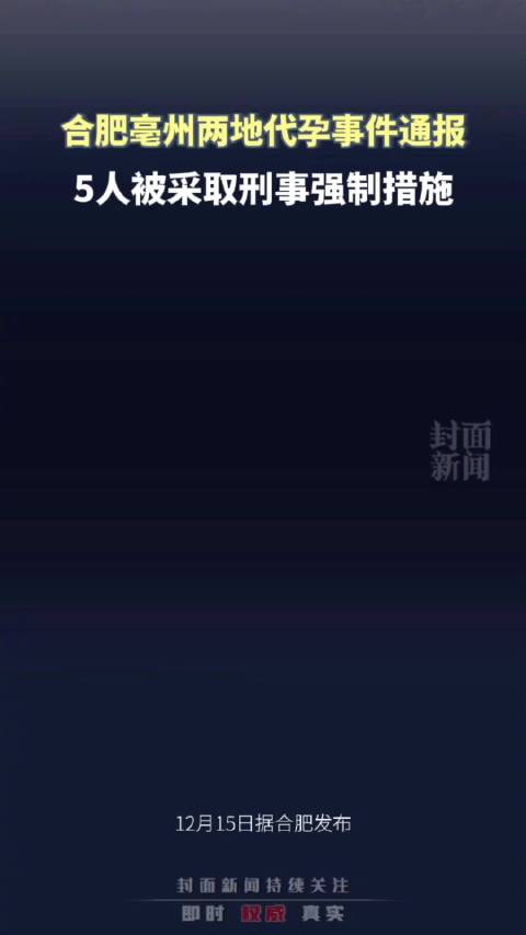 合肥通报一公司非法代孕事件，涉案五人被依法抓捕_反馈记录和整理