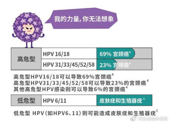 从感染HPV到宫颈癌的过程_动态词语解释