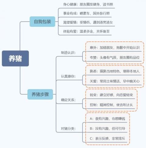 多巴胺色彩下的澳门魅力_反馈落实