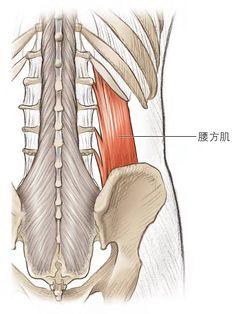 一、友间科技有限公司，科技引领未来，友谊铸就辉煌_落实到位解释