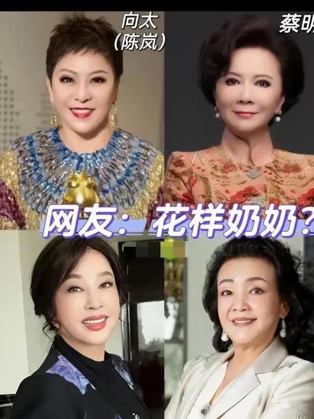 揭秘真相，关于向太辟谣卖蟑螂药的老女人是张兰的传闻_反馈执行和跟进