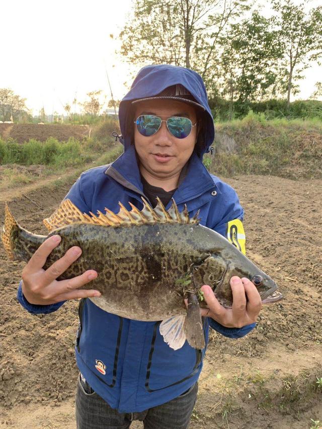 男子钓鱼遇两鳜鱼争一饵，意外收获垂钓新体验_方案细化和落实