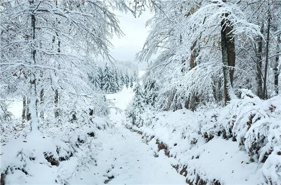 毛不易冬至送广州一场雪，音乐与冬雪的美丽邂逅_反馈意见和建议