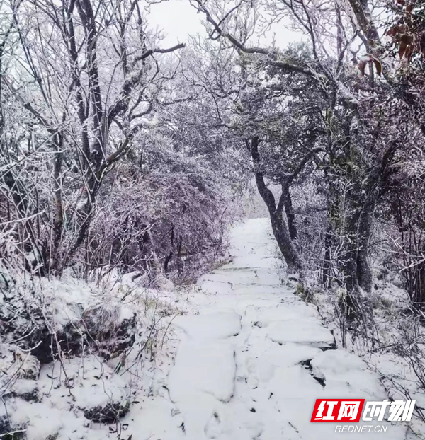 长沙的雪景，冬日里的浪漫与诗意_反馈内容和总结