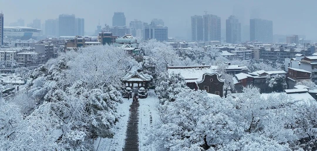 长沙冬季的雪景与气候体验_反馈执行和跟进