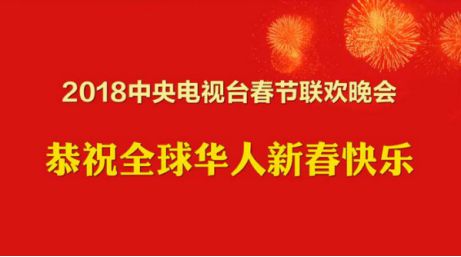 央视蛇年春晚分会场确定，多元融合，共筑新春盛宴_反馈内容和总结