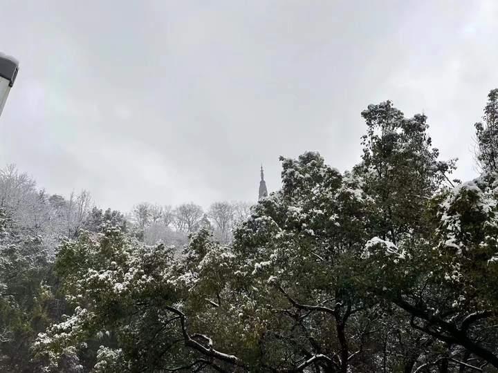 张杰为女儿在家造雪，父爱如雪的温暖与创意_方案实施和反馈