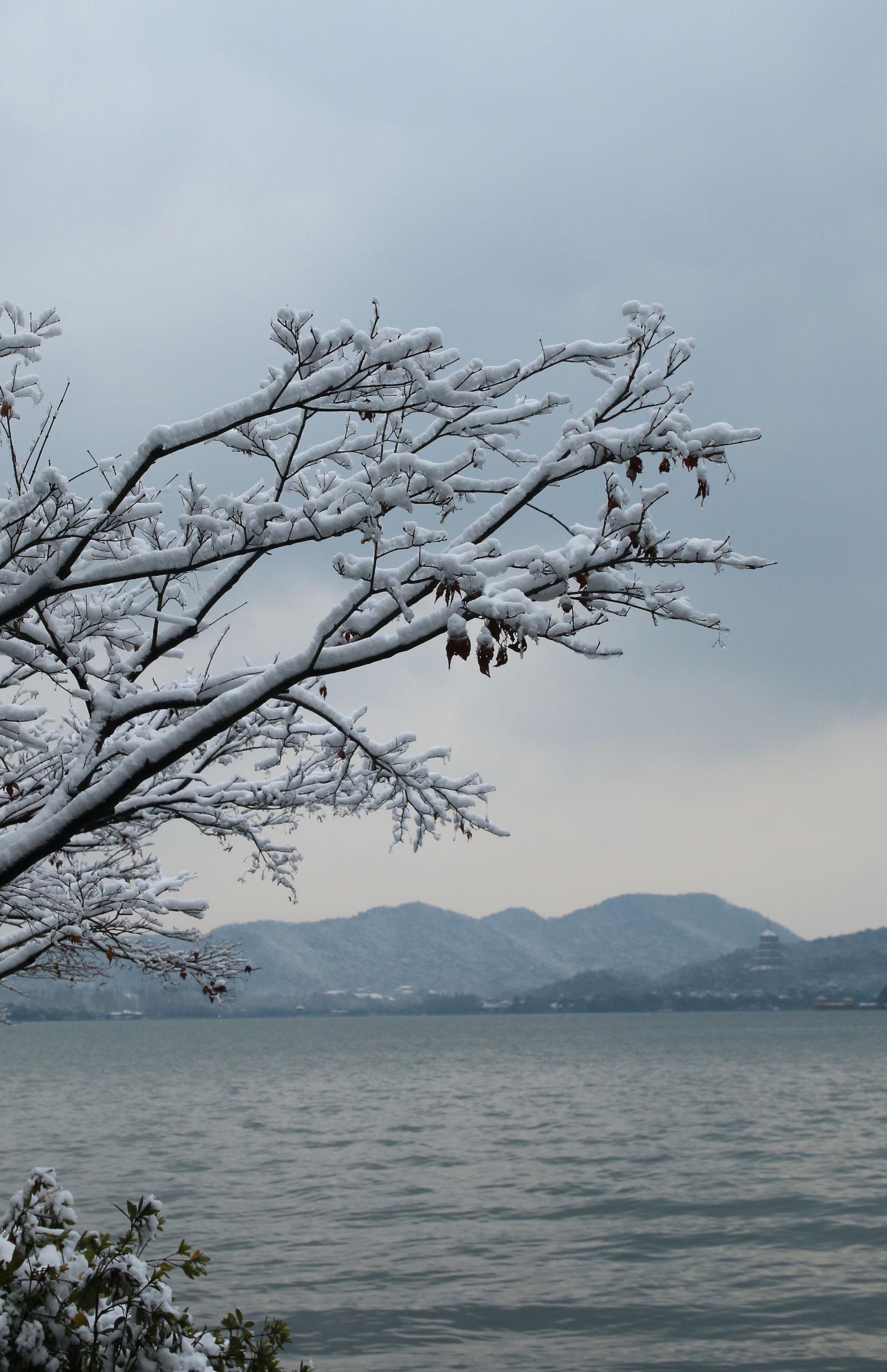 杭州多家小店巧妙运用造雪机吸引客流_反馈执行和落实力