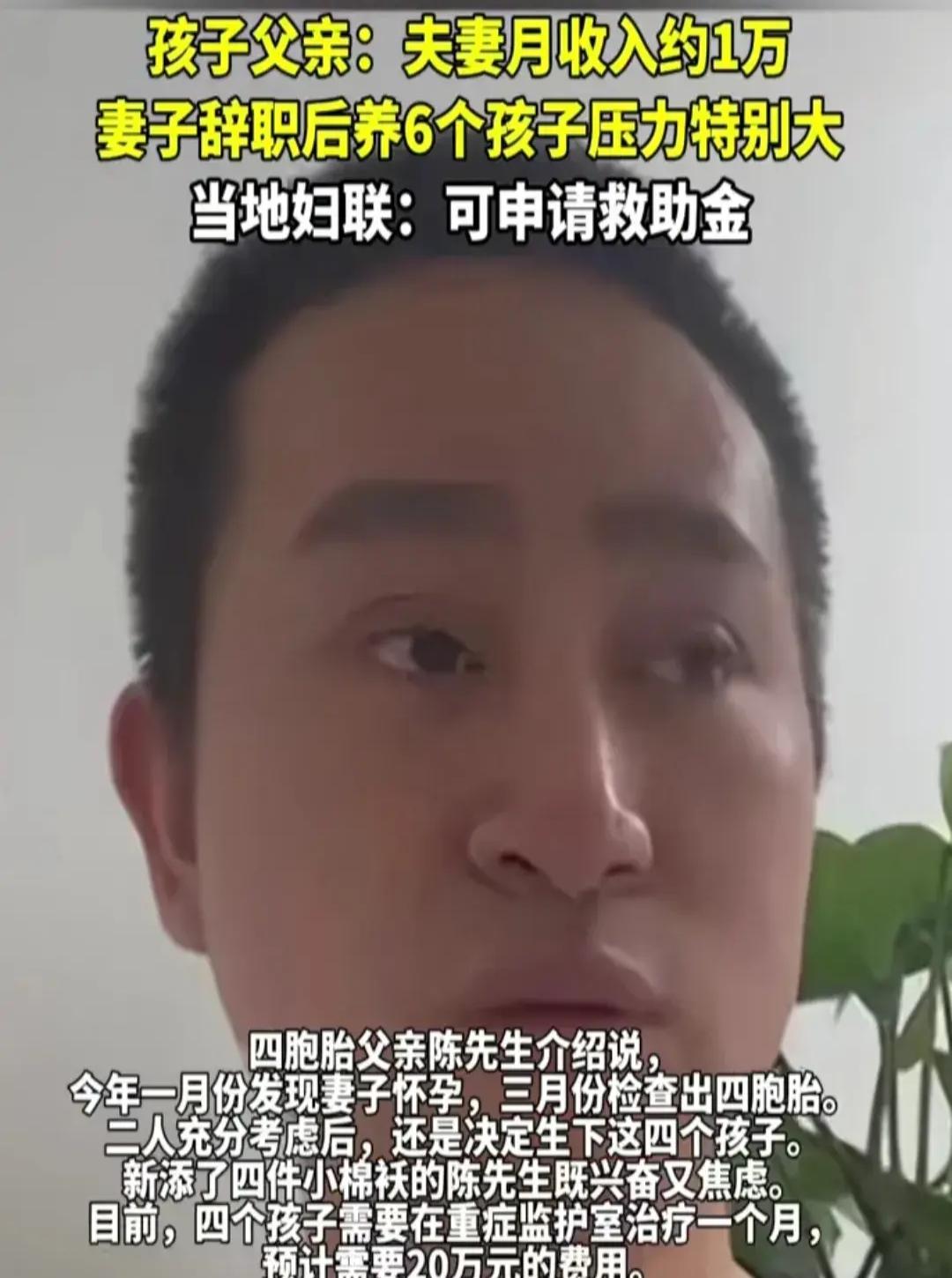 深圳四胞胎S，奇迹的诞生与成长之路_解释定义