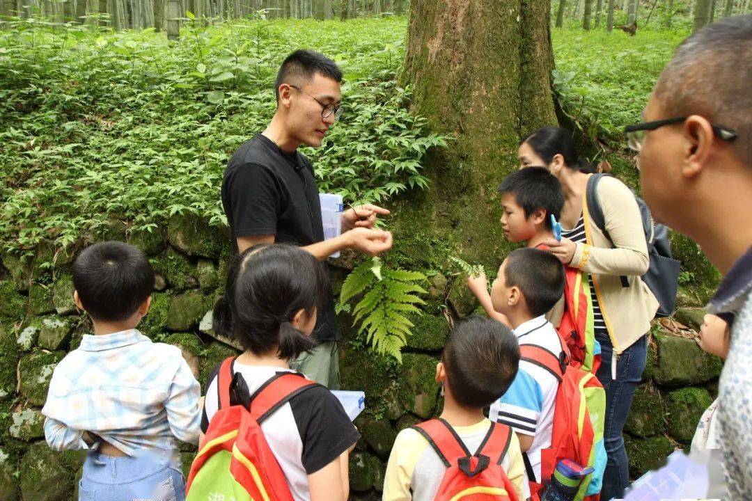 5岁小孩哥展现天赋，为植物学家带来生动一课_权限解释落实