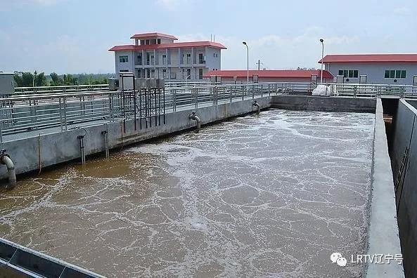 辽宁某地垃圾遍地现象引发关注，政府迅速回应_解答解释落实