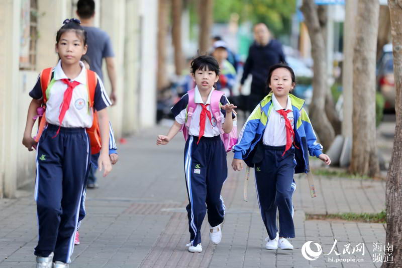 海口小学生校内身亡事件，深度分析与反思_反馈机制和流程