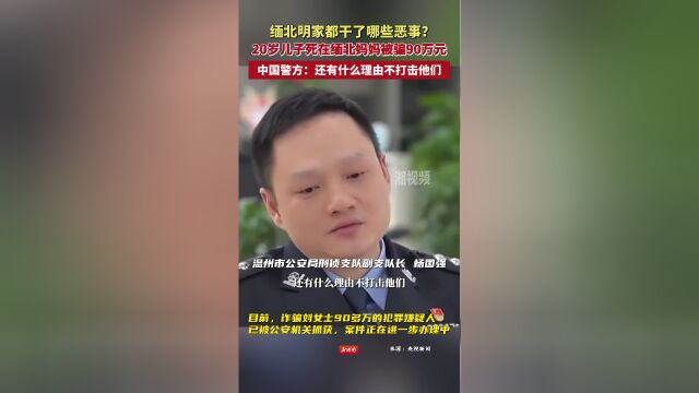 缅北悲剧，一位母亲的痛失与骗局揭秘_精准落实