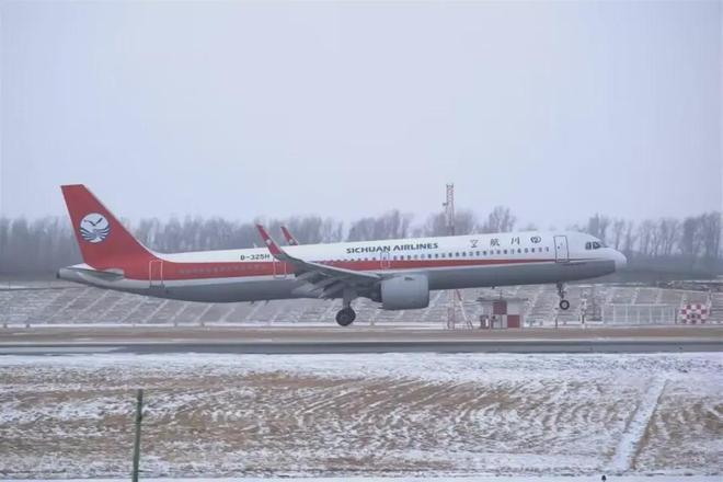 美国机场空难的悲剧与启示_资料解释