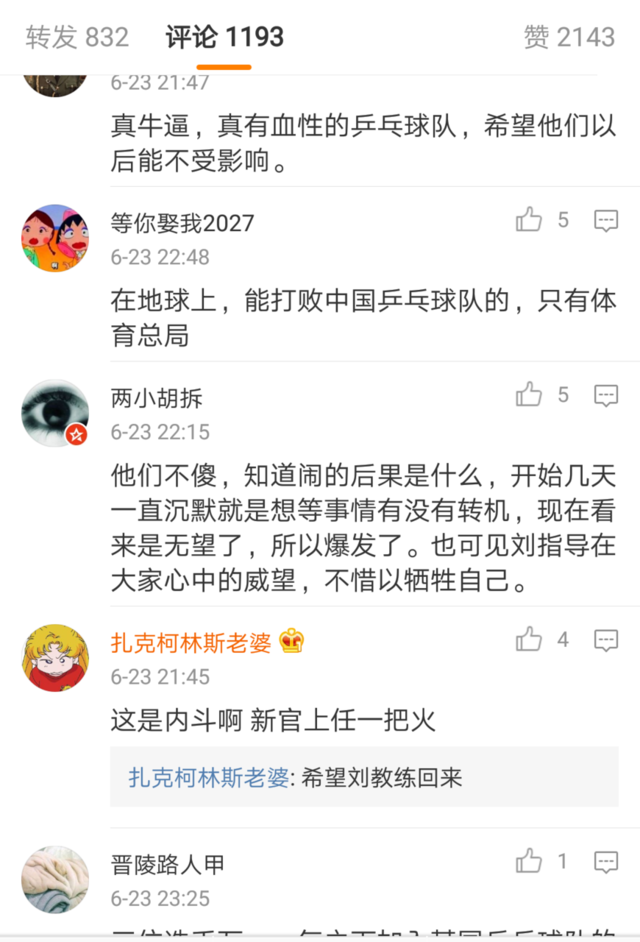 乒乓球队退赛事件，深度解读与反思_词语解释