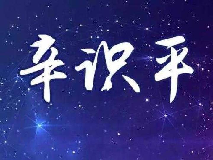 开启新一年的梦想与奋斗篇章_反馈实施和计划