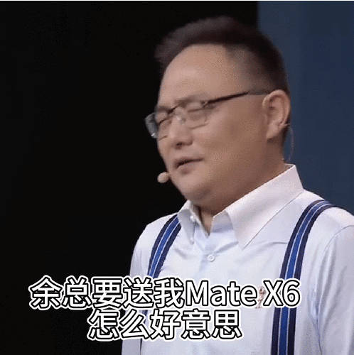 一、罗振宇MateX6，科技前沿的强者风采_精准落实