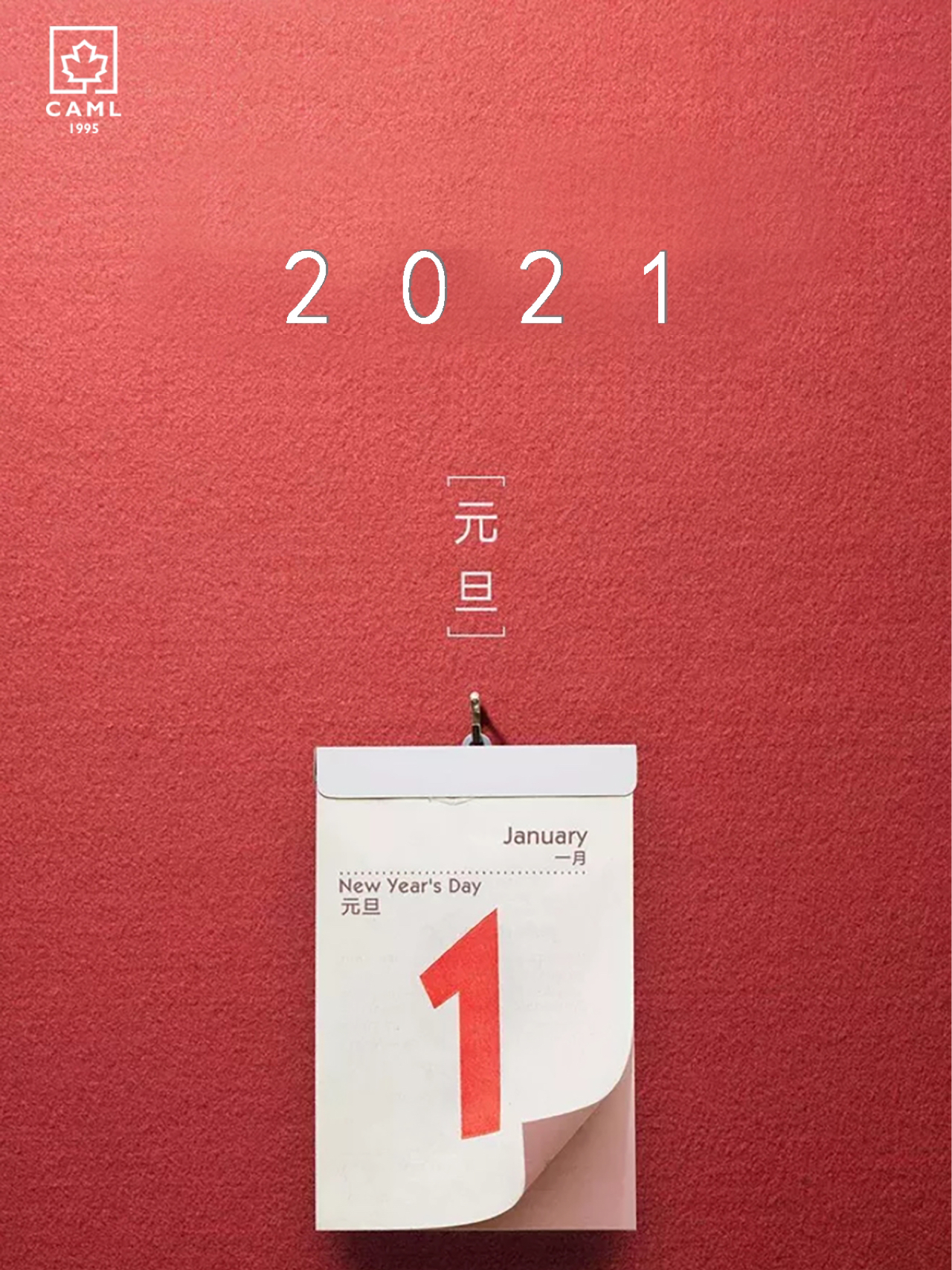 开启崭新的篇章，2021年，我们共同迈向新的一年_方案细化和落实