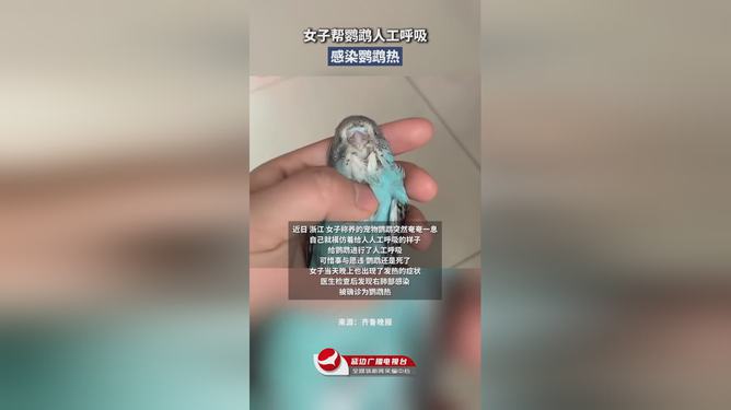 女子给鹦鹉人工呼吸引发鹦鹉热感染事件分析_精准解答落实