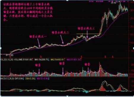 茅台十年多少倍，一场投资奇迹的解析_精准落实