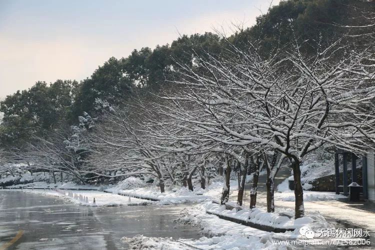 日本遭遇十年一遇大雪，严寒挑战与坚韧民族精神_落实执行