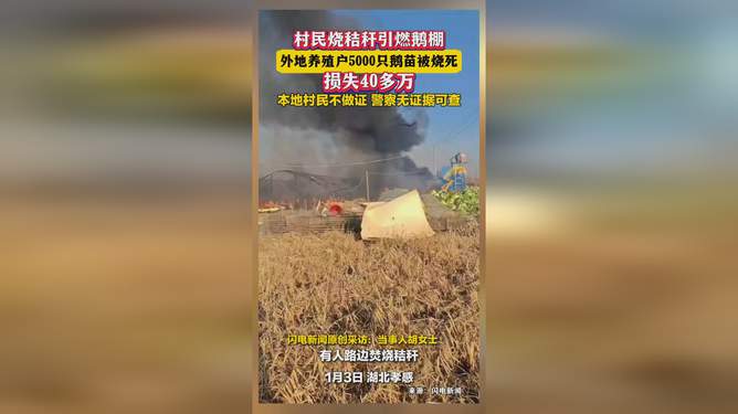 村民烧秸秆引燃鹅棚，一场意外的农村事故及其启示_知识解答