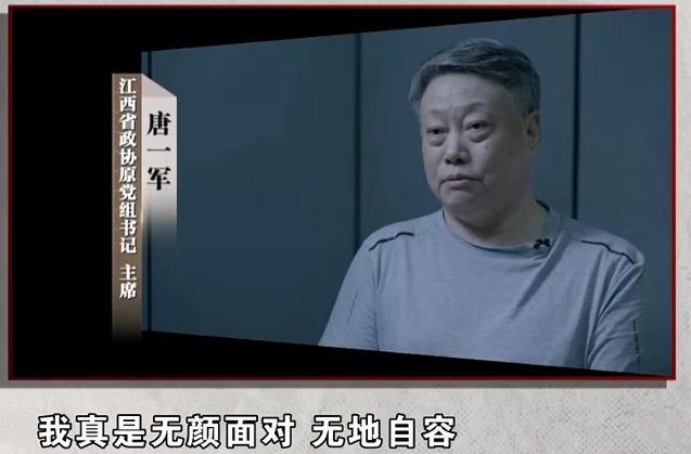 唐一军出镜忏悔无地自容，从错误中汲取力量，重塑人生之路_方案实施和反馈