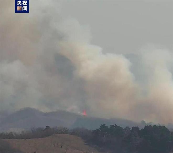 天水一地发生山火，灾难背后的警示与反思_反馈内容和总结