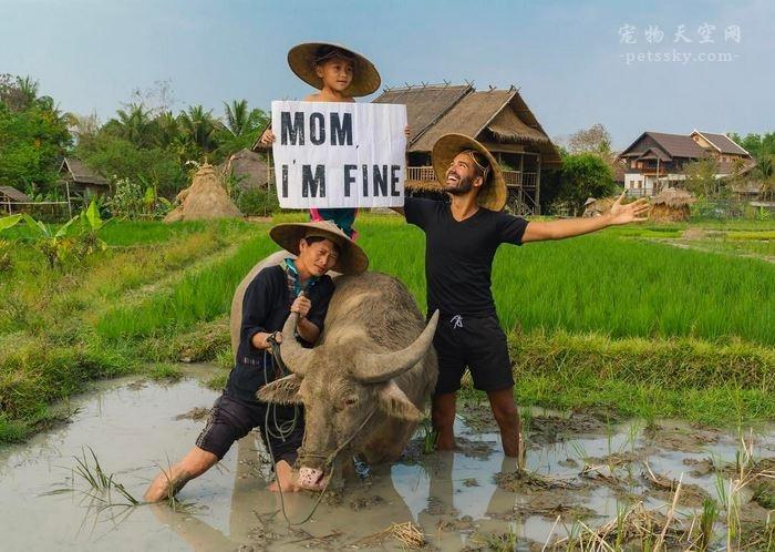 小猫的辞职报告，一场突如其来的决定_反馈内容和总结