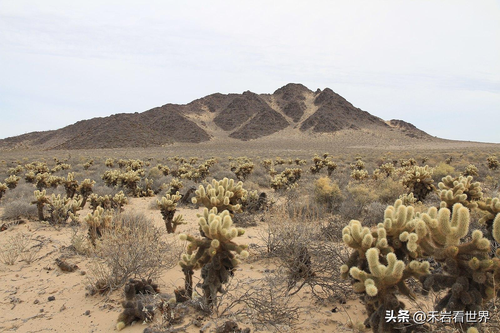 墨总统的新愿景，北美洲应改名为墨西哥美洲_解释定义