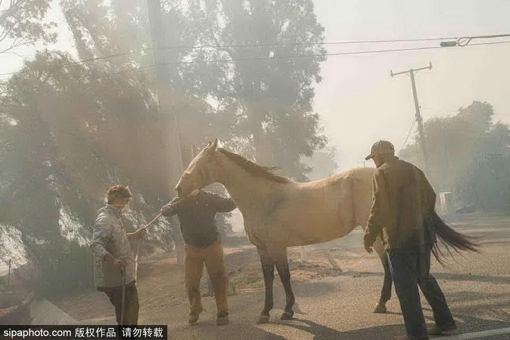 洛杉矶山火完全失控，灾难背后的挑战与应对_反馈落实