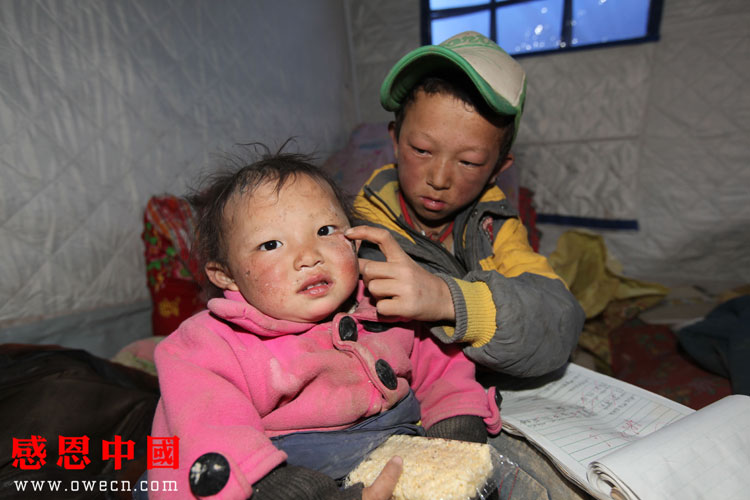 地震前男孩边哭边把妹妹抱到桌下，生命的坚韧与亲情的力量_具体执行和落实