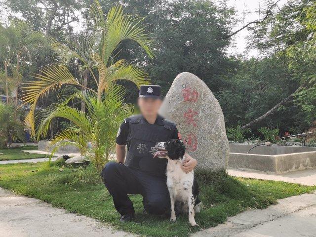 云南一警犬连续四周被基地通报，守护边疆的无声英雄_反馈目标和标准