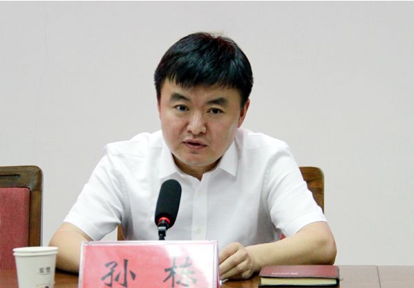 河南新乡常务副市长孙栋被查，反腐风暴下的个案解析_全面解答