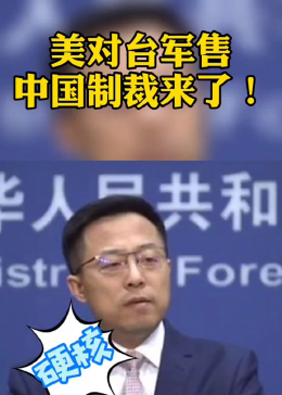 美企涉台军售遭制裁，中美经贸关系的微妙变化_反馈意见和建议