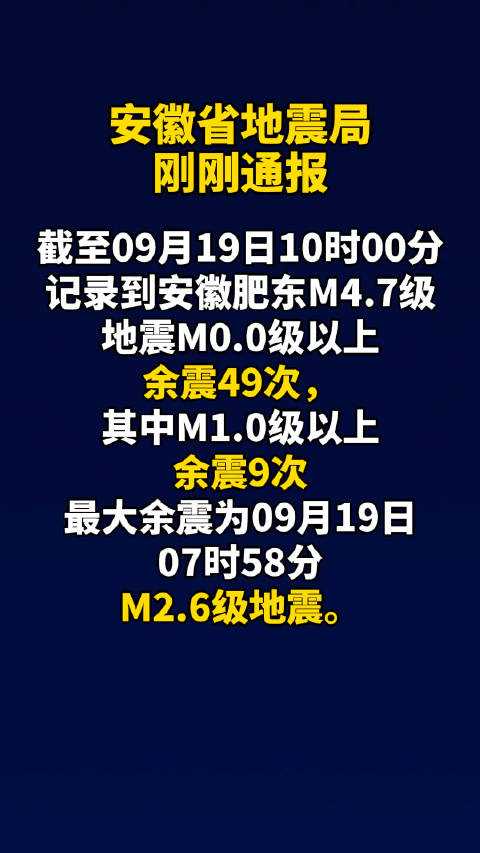 合肥地震，回顾与反思_反馈机制和流程