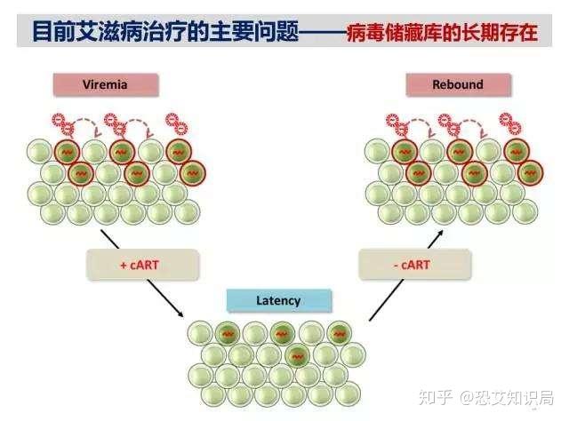 一、标题，法艾滋病病毒感染者实现功能性治愈的新突破_精选解释落实