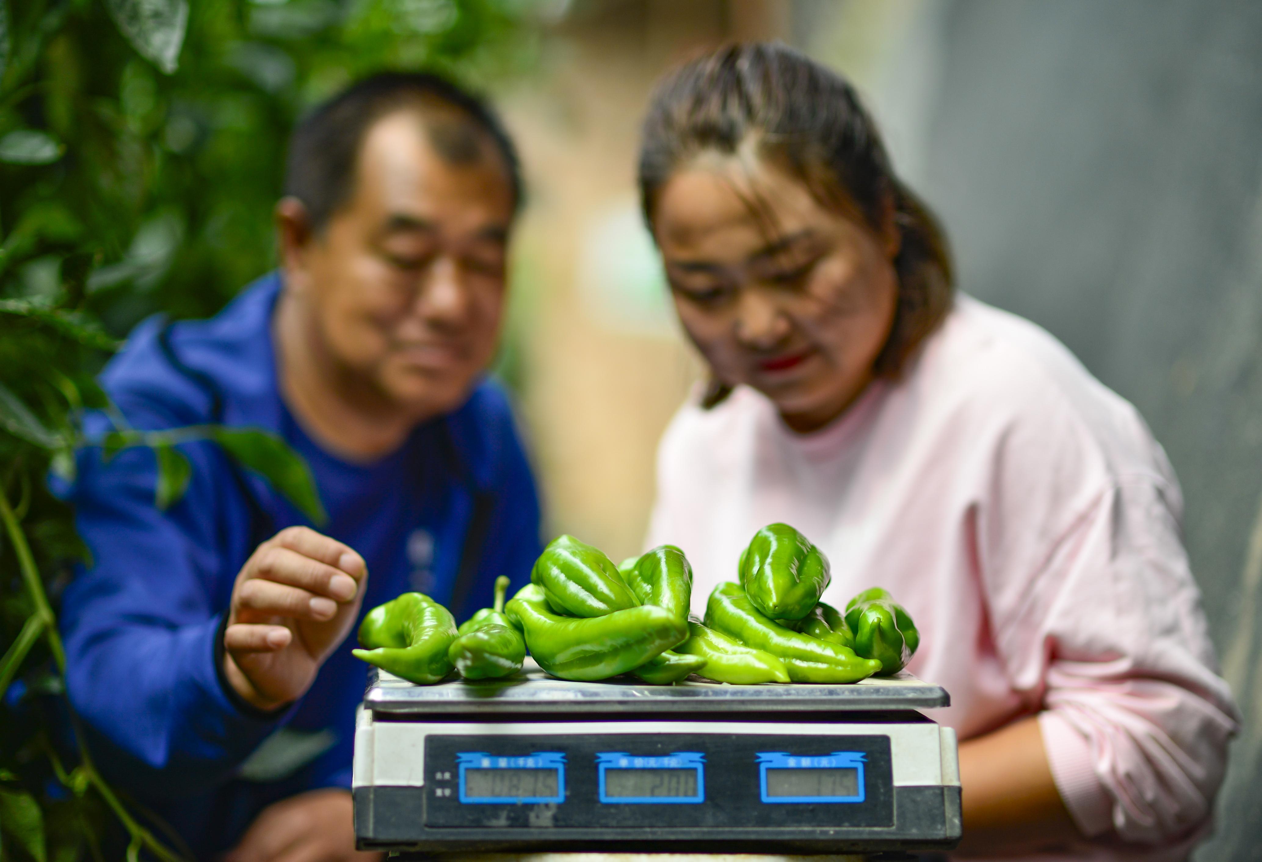 呼和浩特农牧局致歉事件深度解析_最佳精选