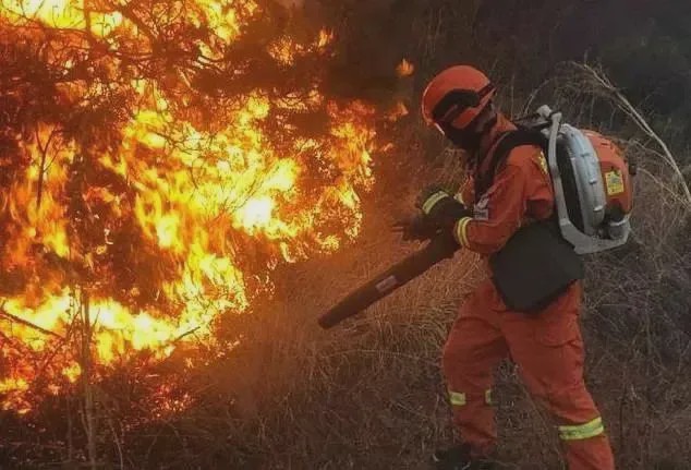 美媒称加州大火因为中国人遭批——反思与启示_科普问答