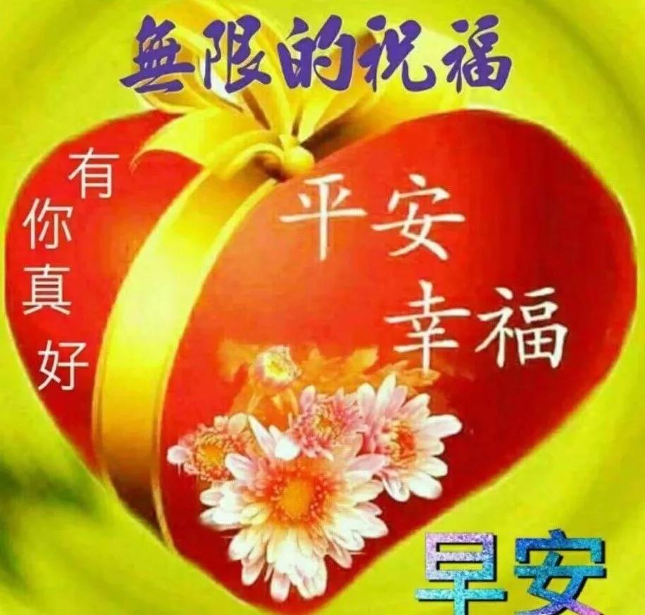 为给上级拍照打卡，花费十万地里插番薯——一场关于权力、形象与真实的故事_反馈落实