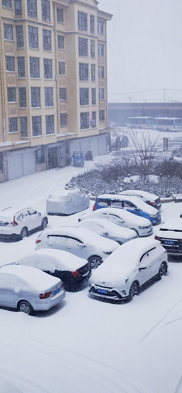 陕西即将成为强降雪中心，一场雪舞中的挑战与机遇_精准解答落实