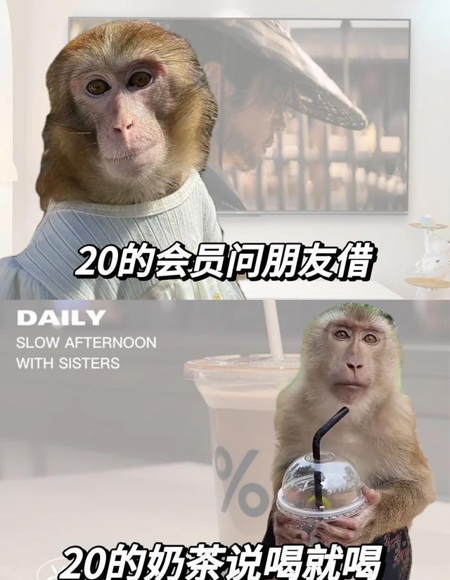 为了攒钱，年轻人开始骗自己_动态词语解释