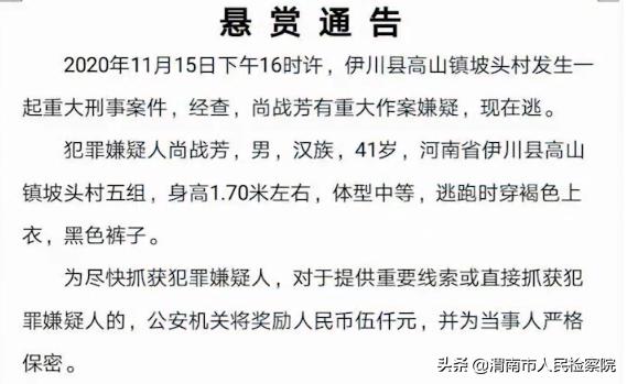 女童高山走失3天，父亲悬赏百万寻人——社会的温情与力量的汇聚_精准解释落实