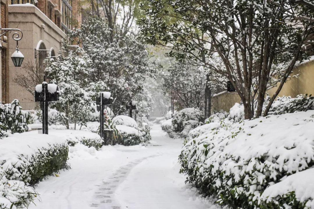 郑州下雪，冬日雪韵与城市的独特魅力_动态词语解释落实