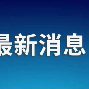 中国春节申遗，简短的介绍_反馈实施和计划