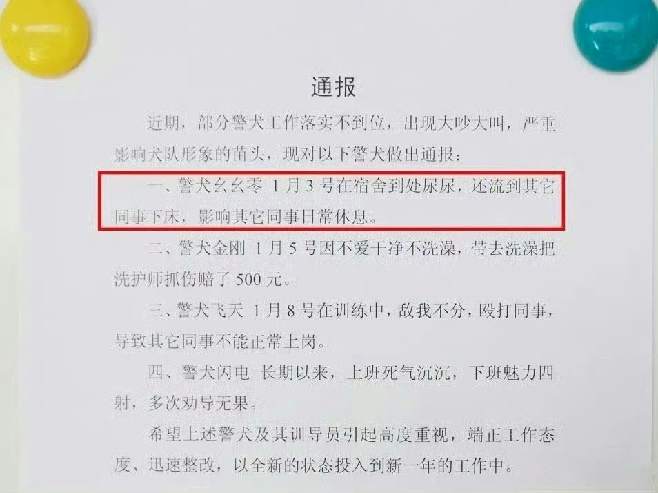 四只警犬挨个被点名通报批评，反思与改进的必要之举_资料解释