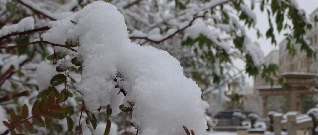 河南多地降下鹅毛大雪，壮丽景象下的冷暖人生_动态词语解释落实