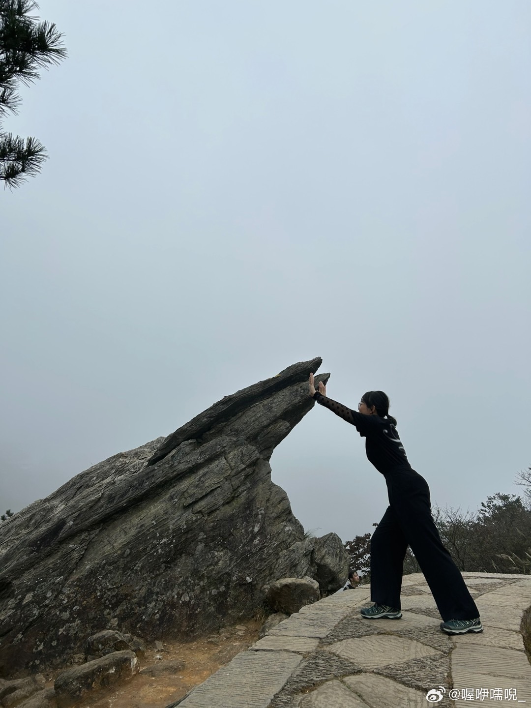 江西庐山嶙峋独峰顶惊现人影，神秘事件揭秘_反馈内容和总结