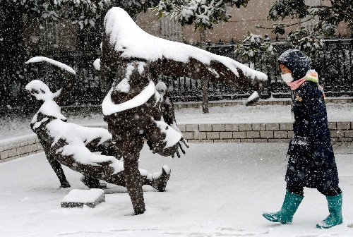 河南局地暴雪，影响与挑战_细化方案和措施