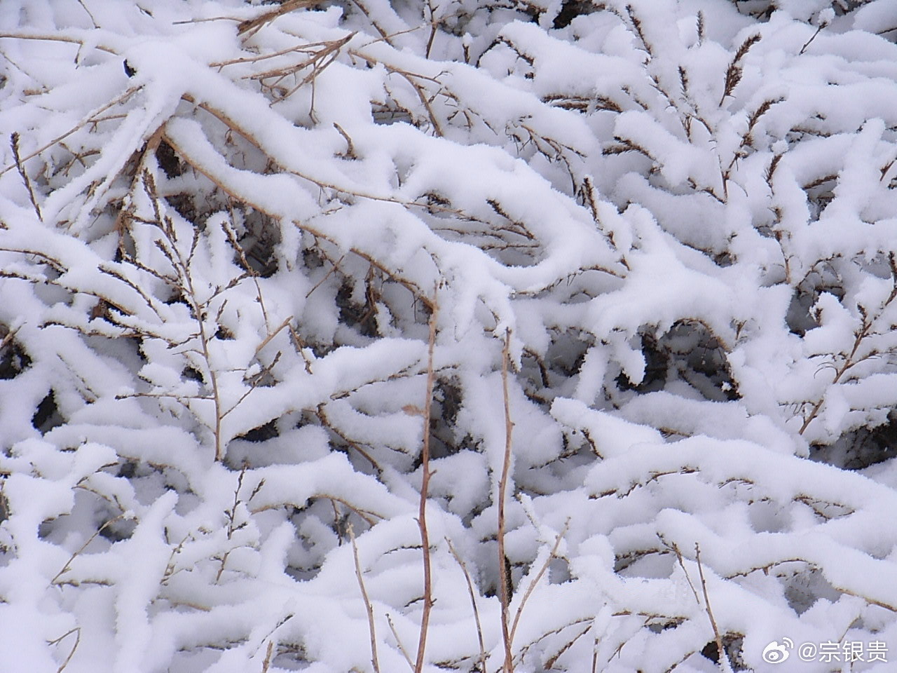 巧借冬风白雪换金银，金银满仓的冬季智慧_效率解答解释落实